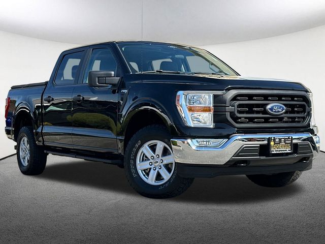 Used 2021 Ford F-150 XL with VIN 1FTFW1E89MFA34082 for sale in Mendon, MA