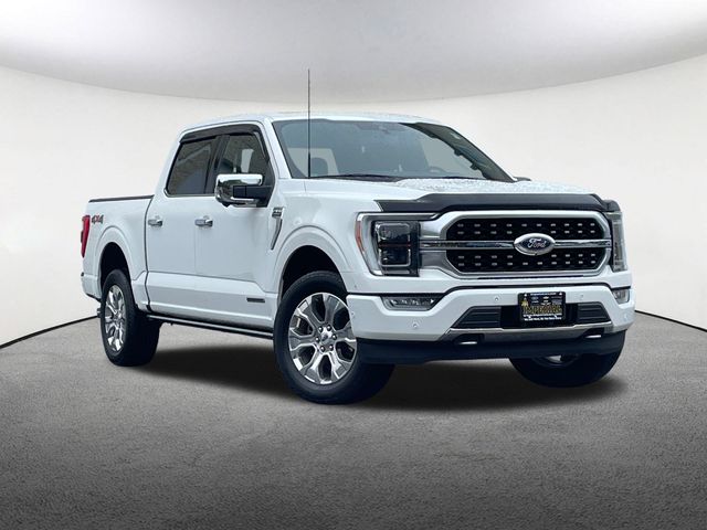 Certified 2021 Ford F-150 Platinum with VIN 1FTFW1ED5MFB65572 for sale in Mendon, MA