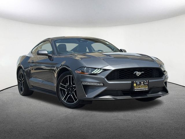 Used 2023 Ford Mustang EcoBoost Premium with VIN 1FA6P8THXP5109803 for sale in Mendon, MA