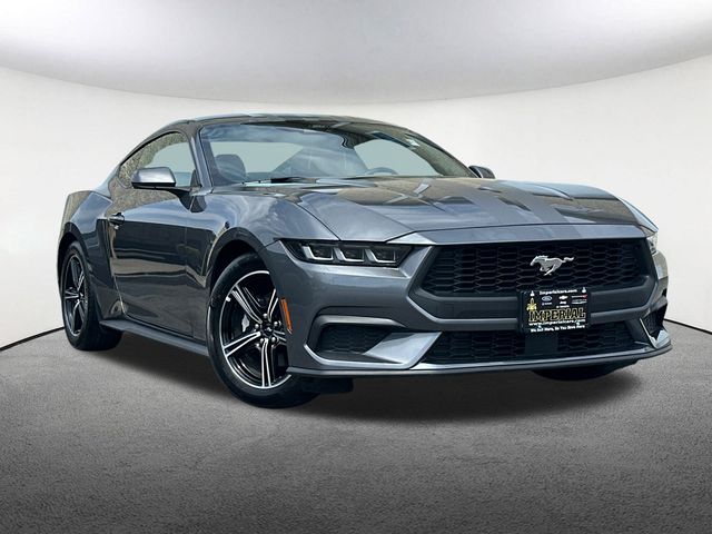 Used 2024 Ford Mustang EcoBoost with VIN 1FA6P8TH8R5130815 for sale in Mendon, MA