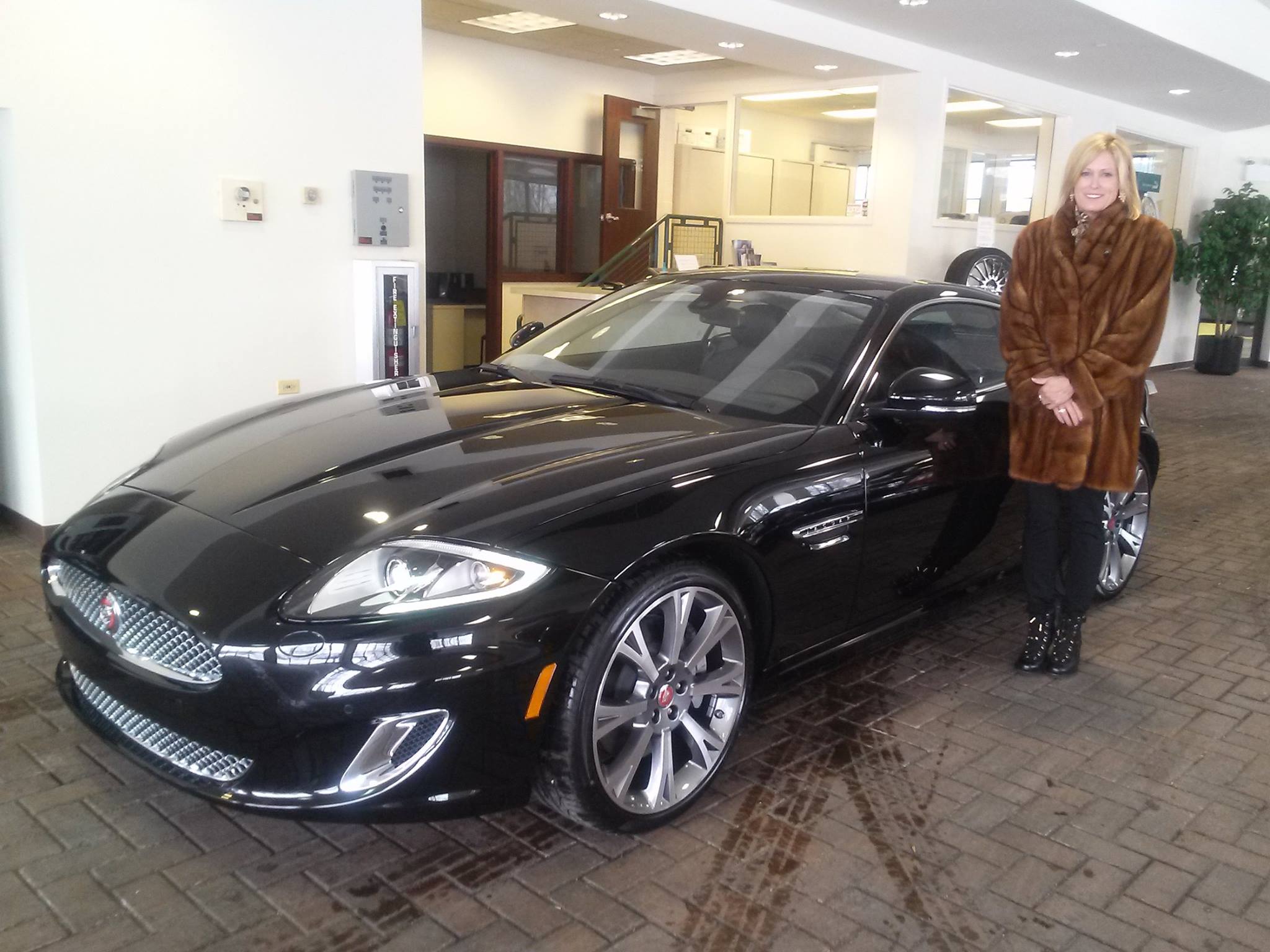 Imperial Motors Family Imperial Motors Jaguar of Lake Bluff