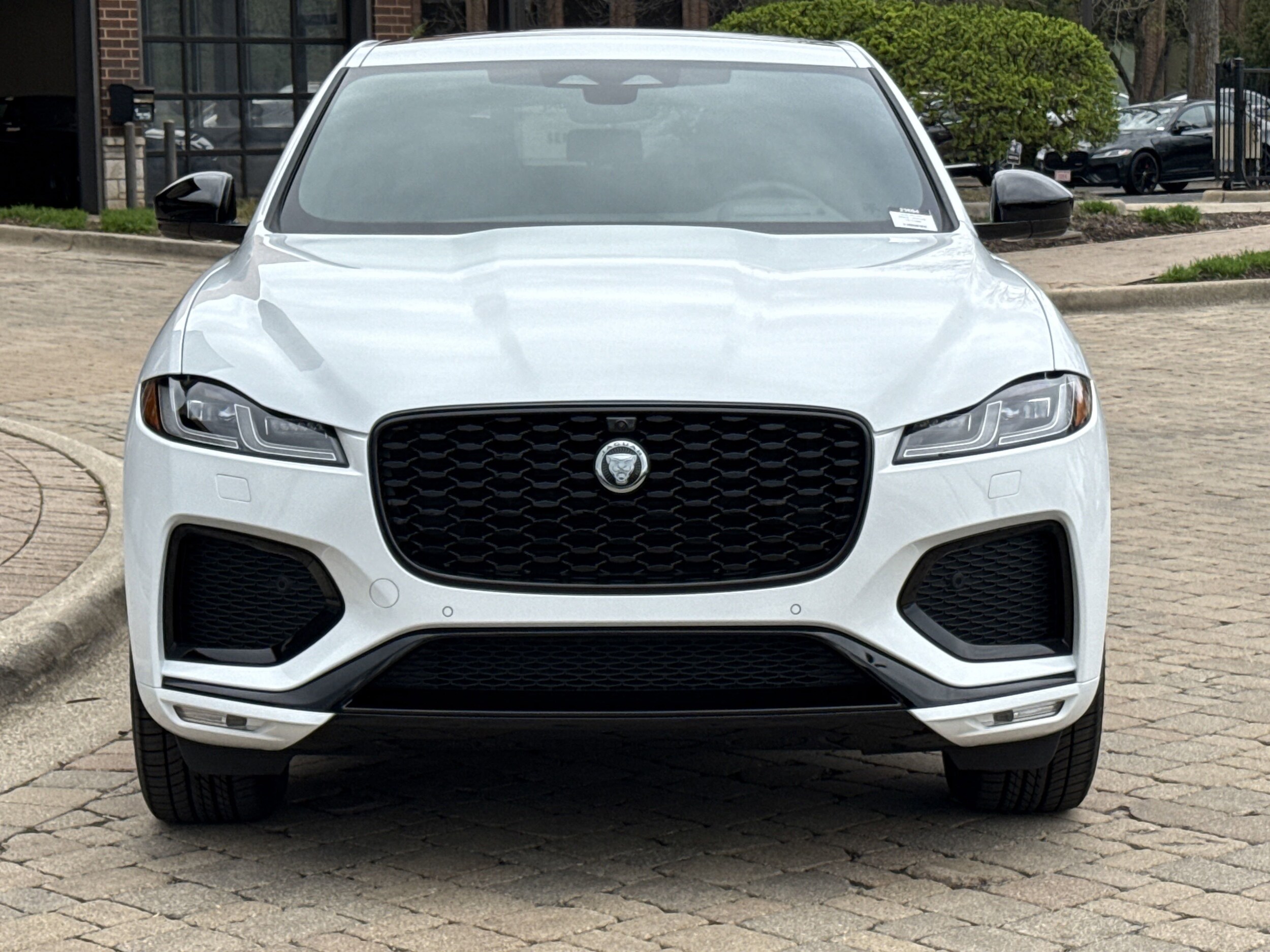 2026 Jaguar F-PACE P250 R-Dynamic S photo 3