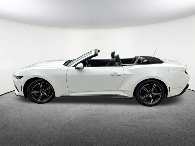 2024 Ford Mustang EcoBoost Premium - Photo 13
