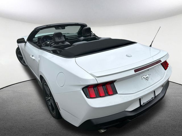 2024 Ford Mustang EcoBoost Premium - Photo 14