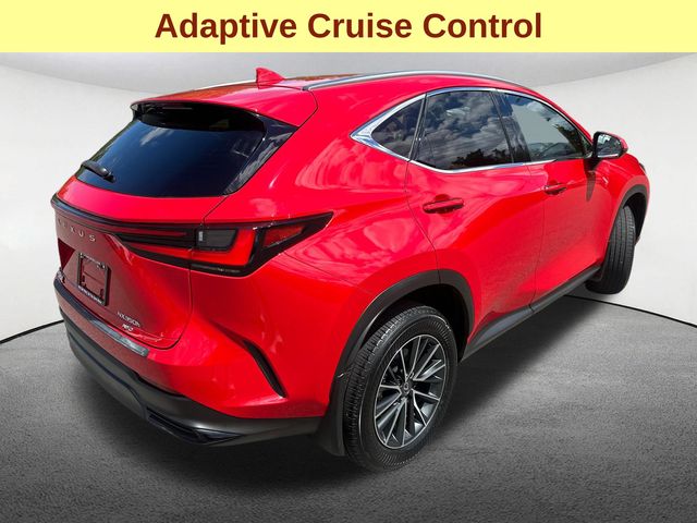 2024 Lexus NX Hybrid 350h - Photo 10
