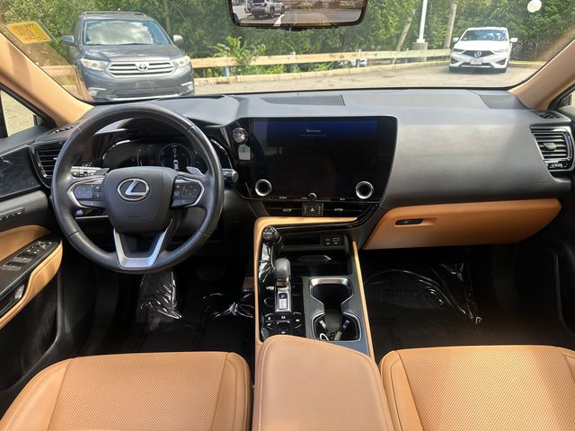 2024 Lexus NX Hybrid 350h - Photo 19