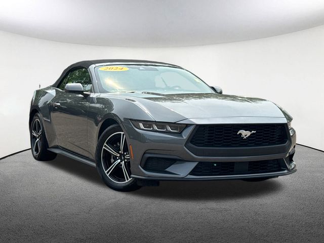 2024 Ford Mustang EcoBoost Premium Convertible photo 2