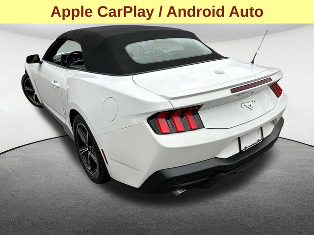 2024 Ford Mustang EcoBoost Premium - Photo 7