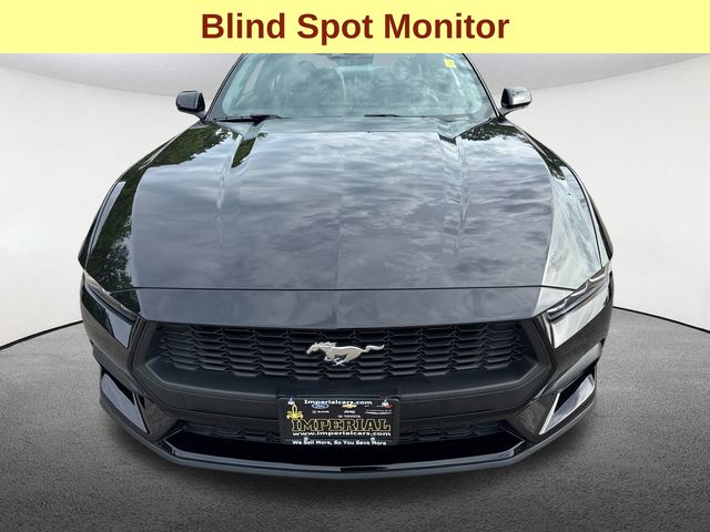 2024 Ford Mustang EcoBoost photo 3
