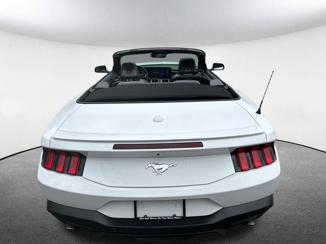 2024 Ford Mustang EcoBoost Premium - Photo 15