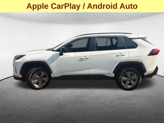 2025 Toyota RAV4 LE - Photo 7