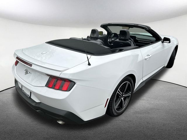 2024 Ford Mustang EcoBoost Premium - Photo 17