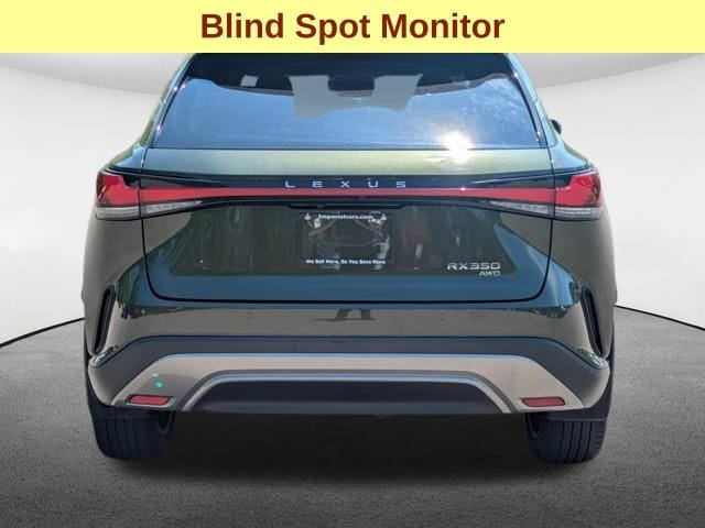 2023 Lexus RX 350 - Photo 6
