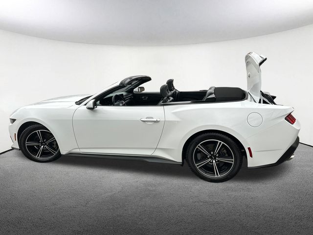 2024 Ford Mustang EcoBoost Premium - Photo 21
