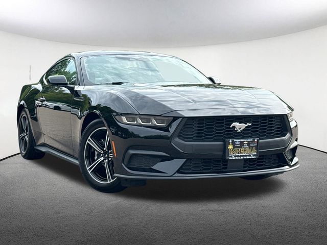 2024 Ford Mustang EcoBoost photo 2