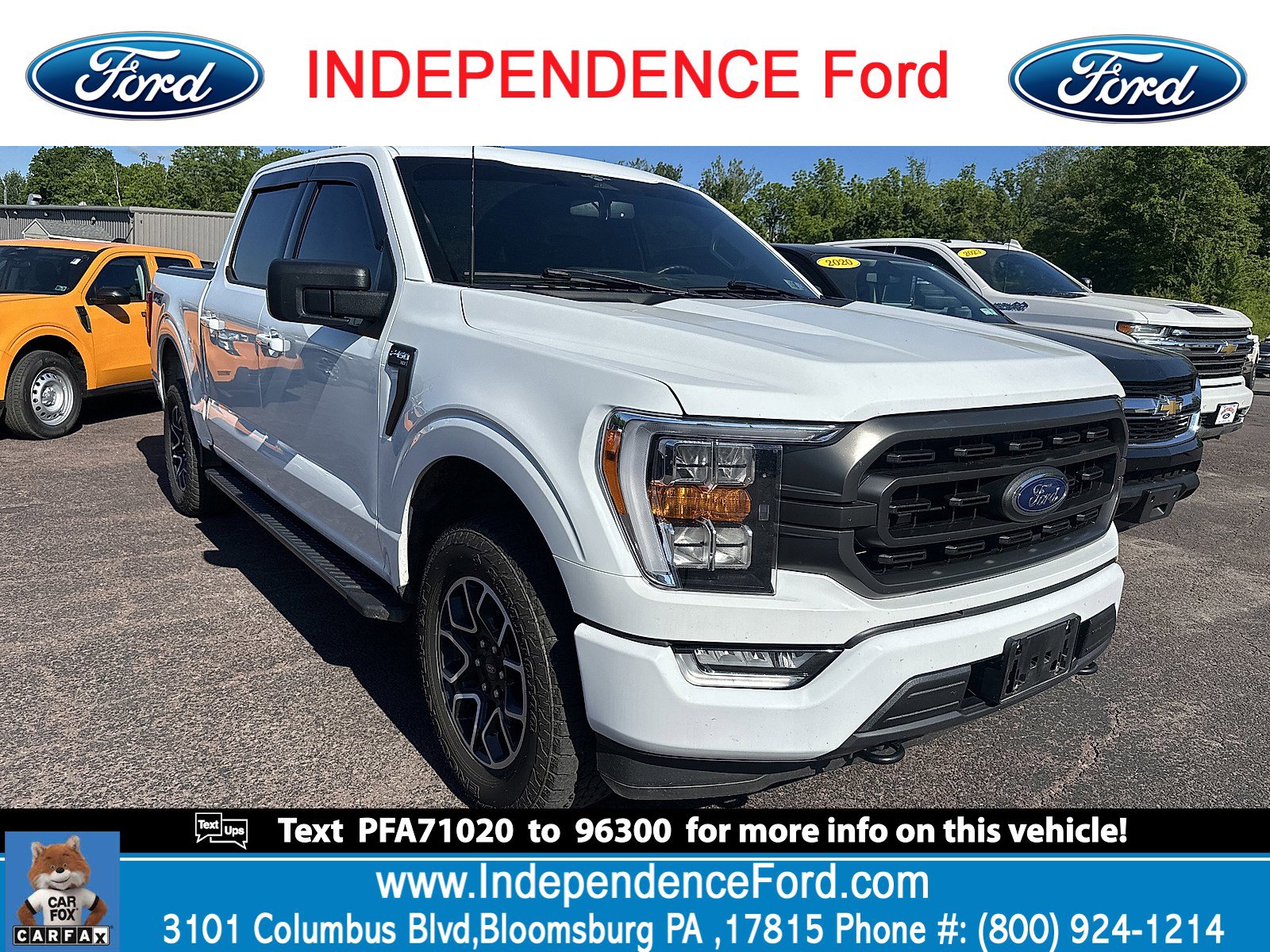 2023 Ford F-150 XLT 4x4 SuperCrew 5-1/2 Box's photo
