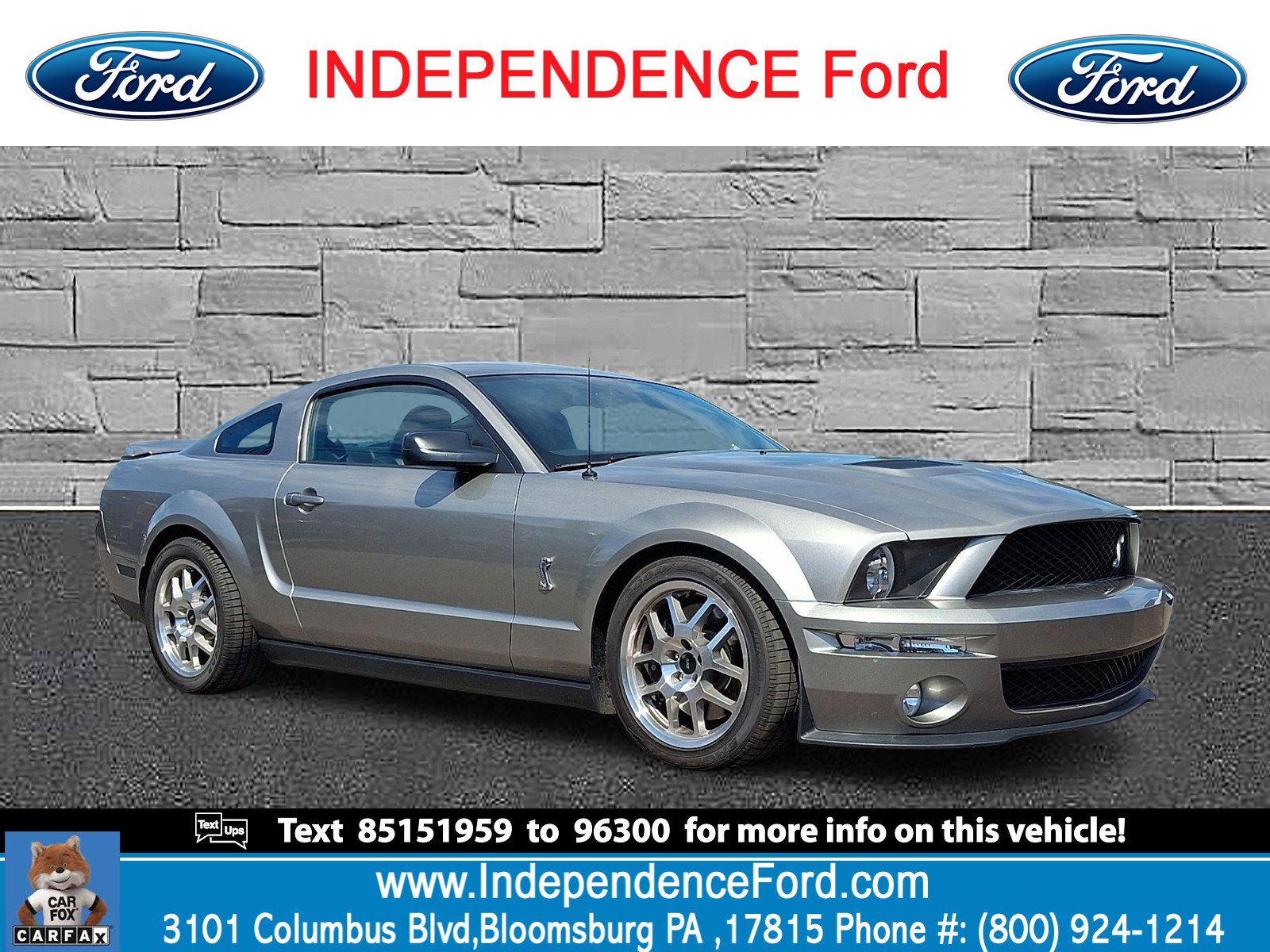 2008 Ford Mustang Shelby GT500's photo