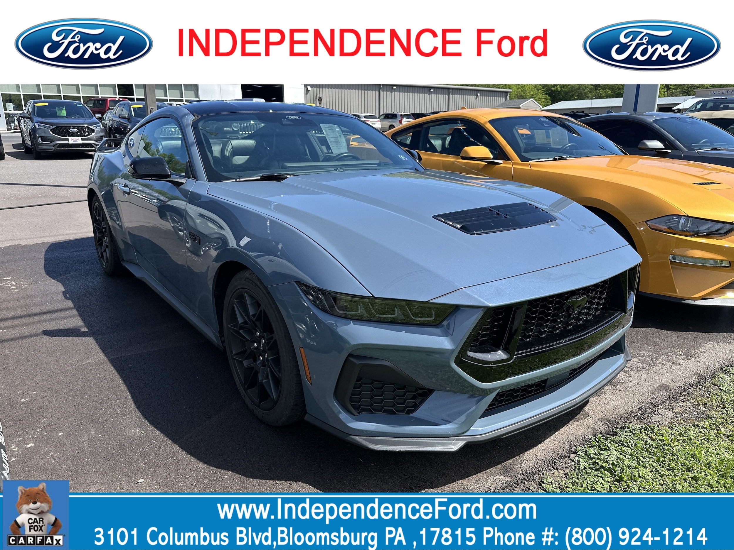 2024 Ford Mustang GT Premium Fastback's photo