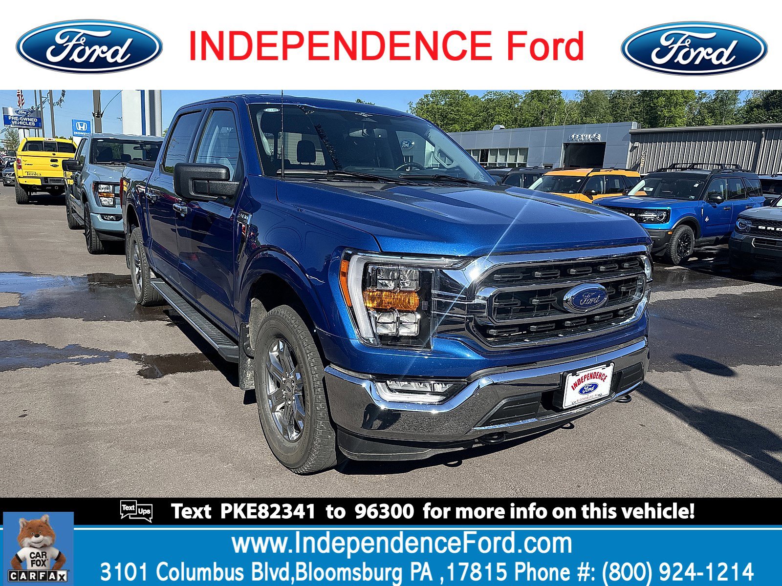 2023 Ford F-150 XLT 4x4 SuperCrew 5-1/2 Box's photo