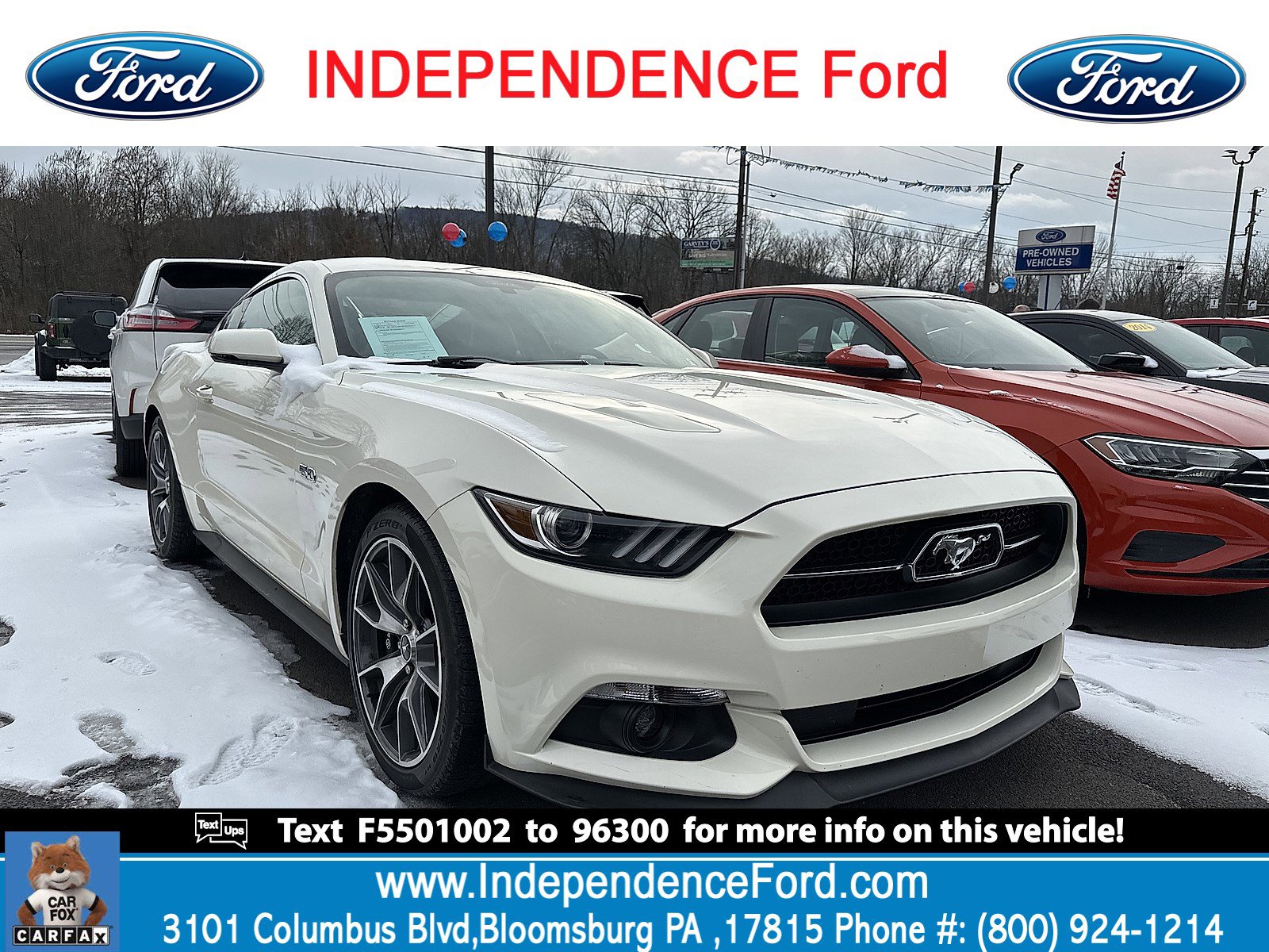 2015 Ford Mustang 50 Years Limited Edition's photo