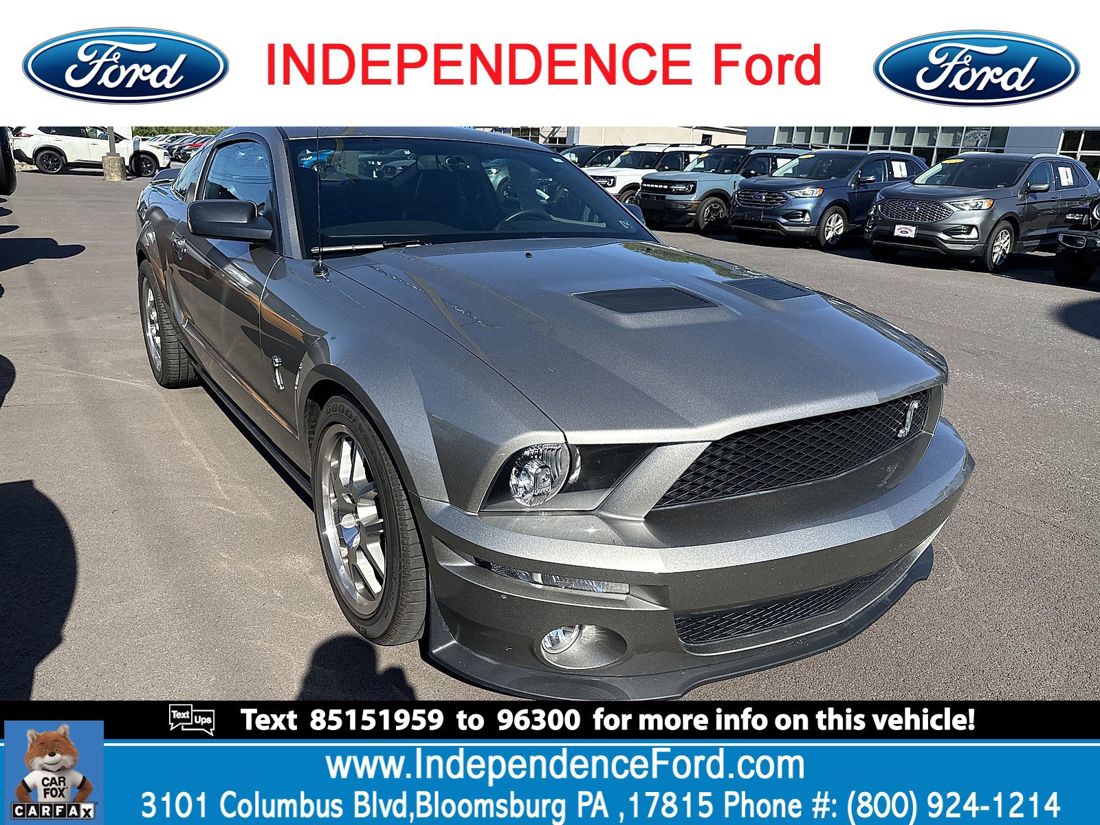 2008 Ford Mustang Shelby GT500's photo