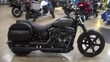 Harley-Davidson® Softail