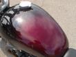 2024 Triumph Speed Twin 1200 (Euro 5A) MotorCycle