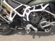 2023 Triumph Tiger 900 Rally Pro (Euro 5A) MotorCycle