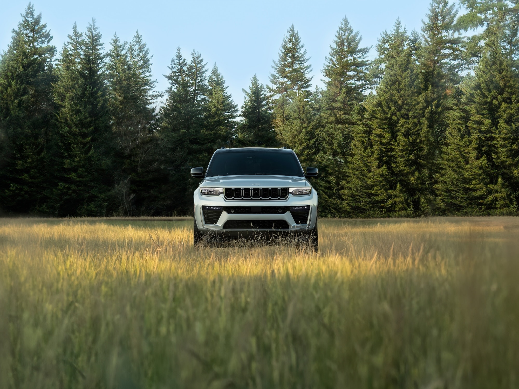 New Jeep Grand Cherokee