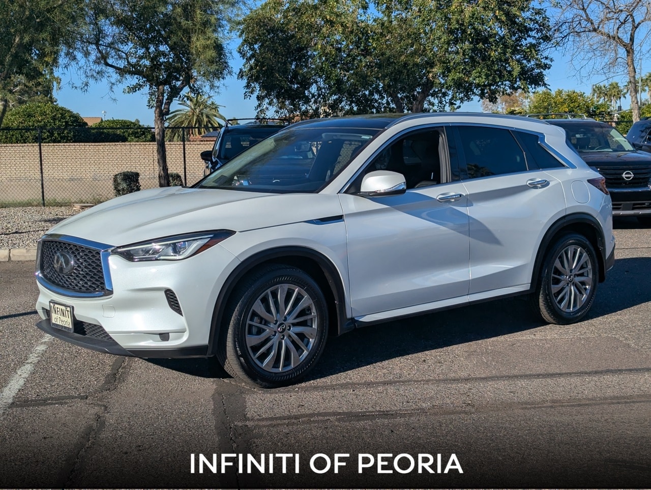 2024 INFINITI QX50 Luxe's photo
