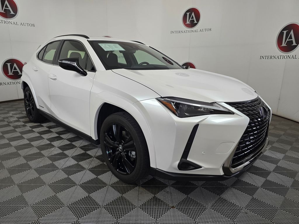2021 Lexus UX 300h 250h AWD's photo