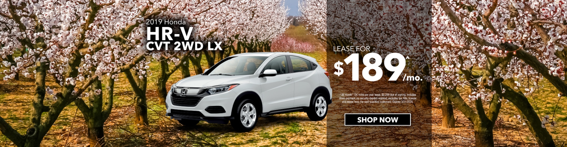 International Honda New Honda dealership in Sheboygan, WI 53081 New