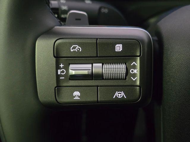 2026 Hyundai Palisade Calligraphy - Photo 20