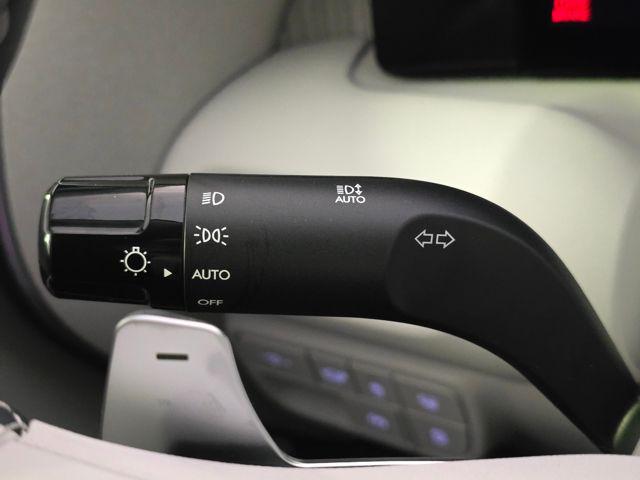 2026 Hyundai Palisade Calligraphy - Photo 20
