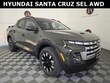  Hyundai Santa Cruz