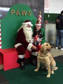 Paws & Santa.jpg