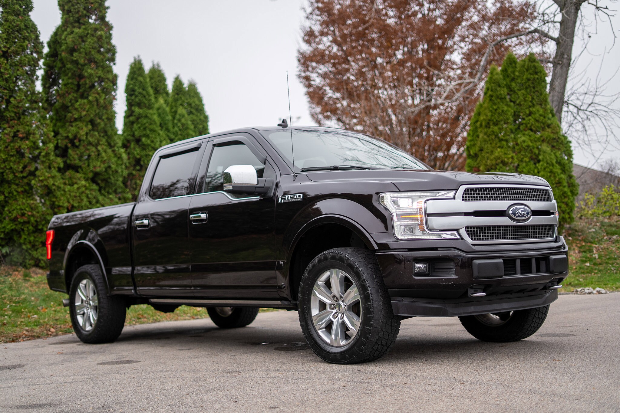 2018 Ford F-150 Platinum photo 3