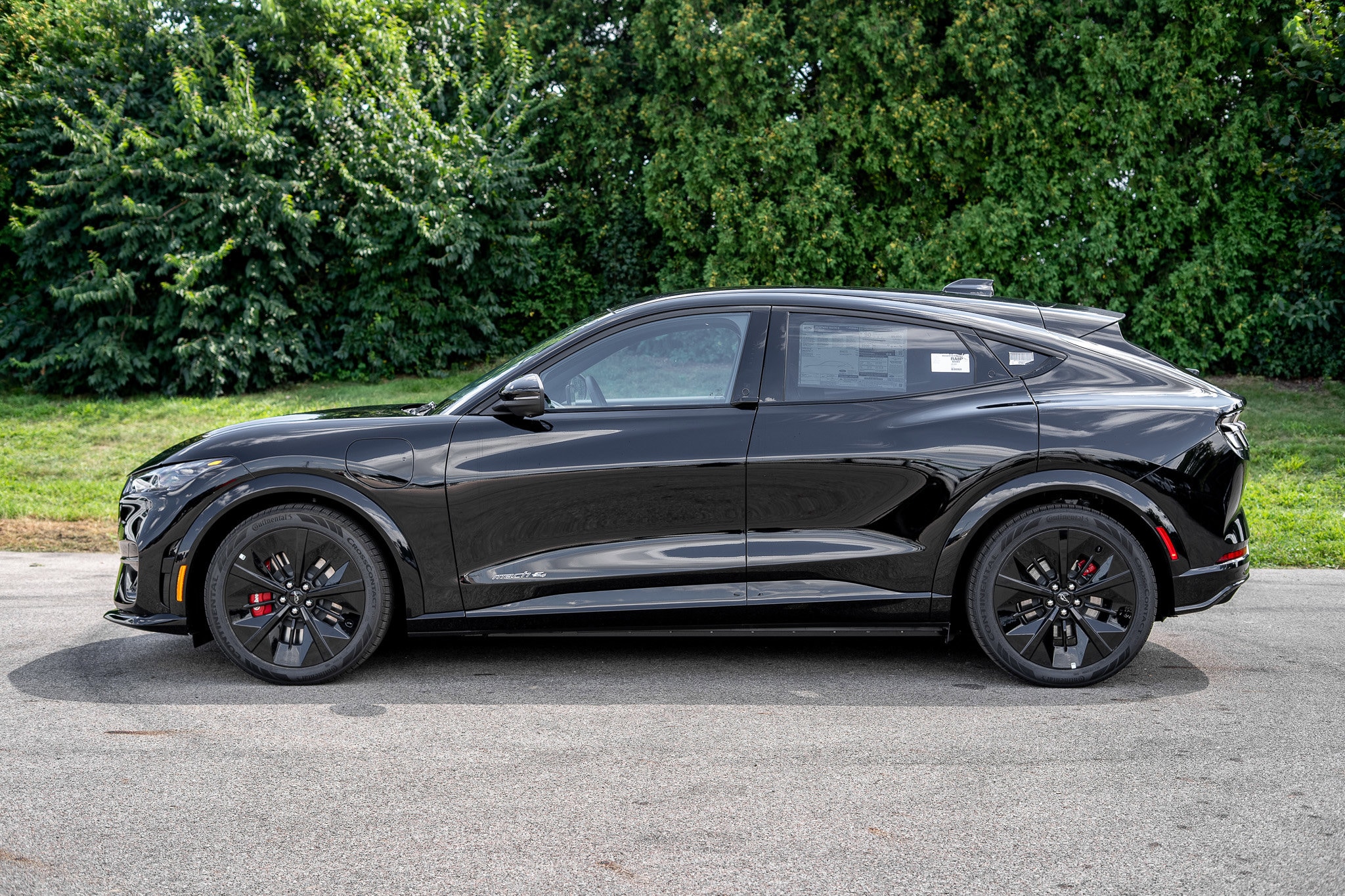 2025 Ford Mustang Mach-E GT - Photo 8