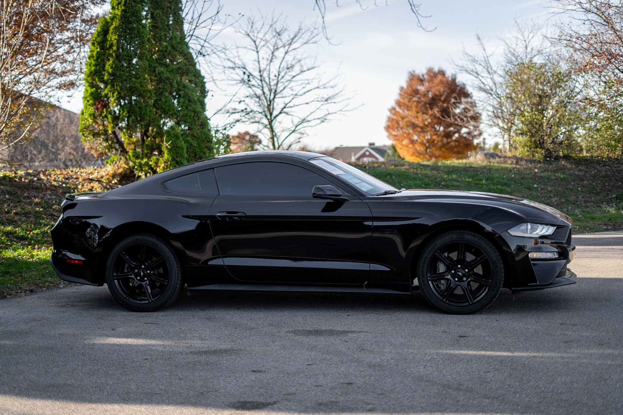 2020 Ford Mustang GT Premium photo 4