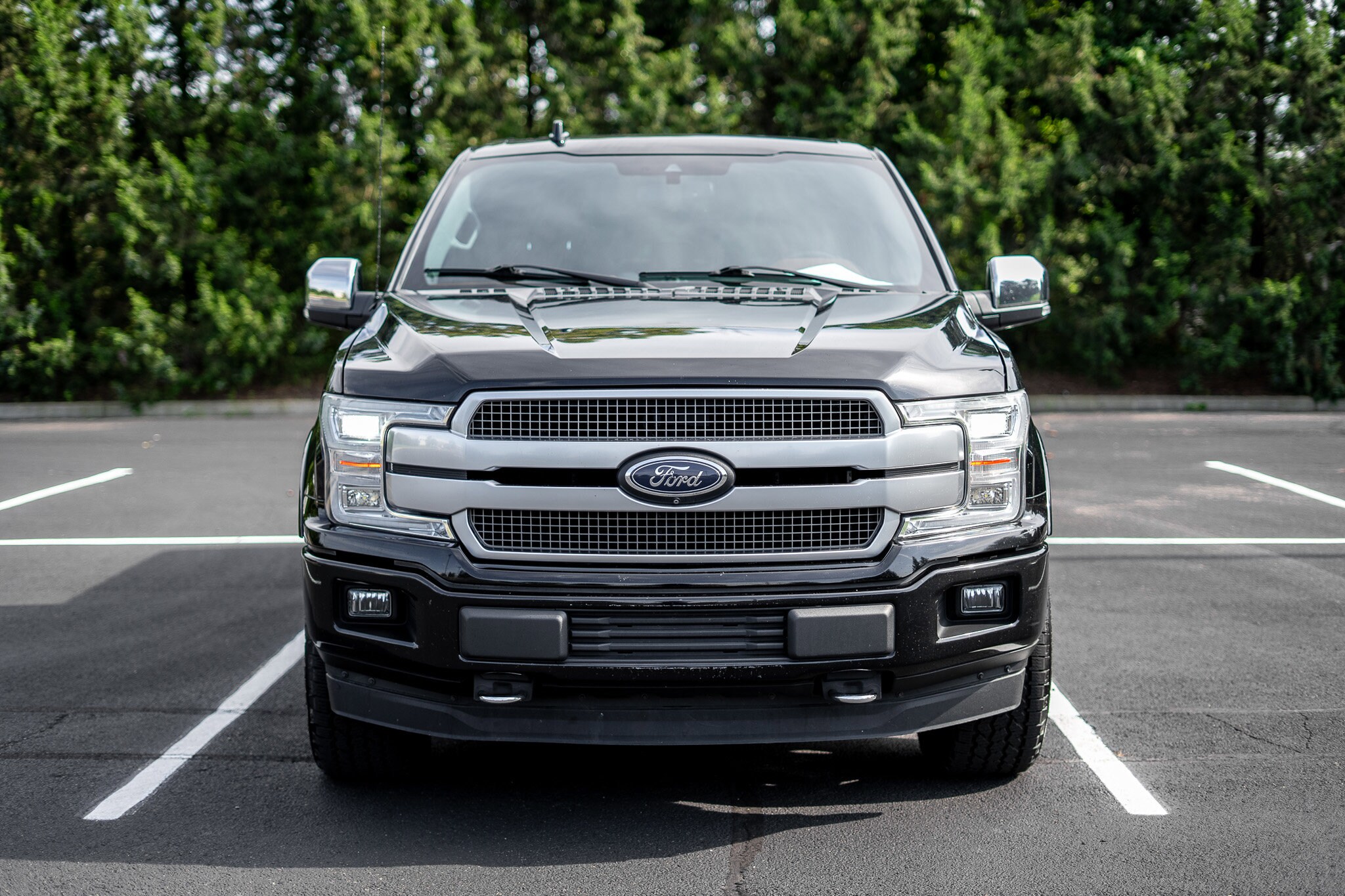 2018 Ford F-150 Platinum photo 2