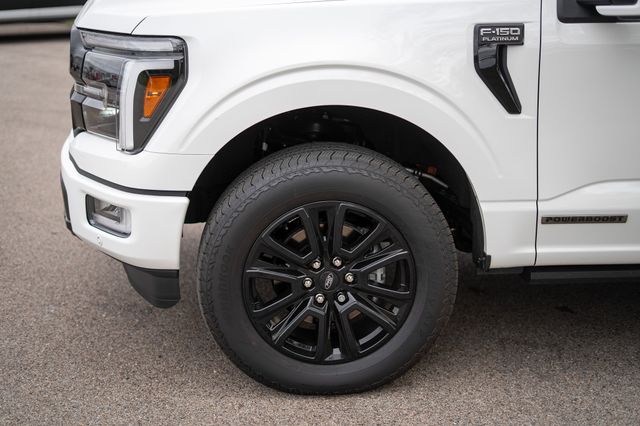 2025 Ford F-150 Platinum - Photo 10
