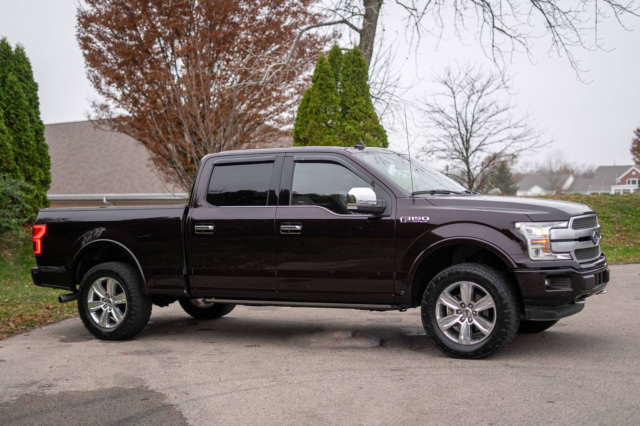 2018 Ford F-150 Platinum photo 4