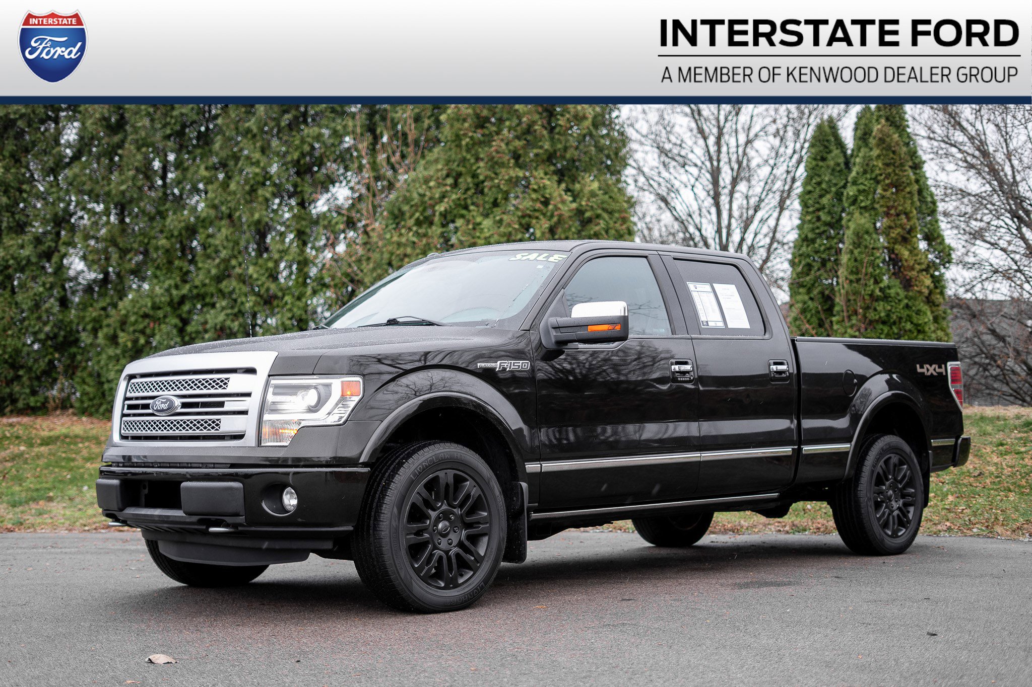 2014 Ford F-150 Platinum's photo