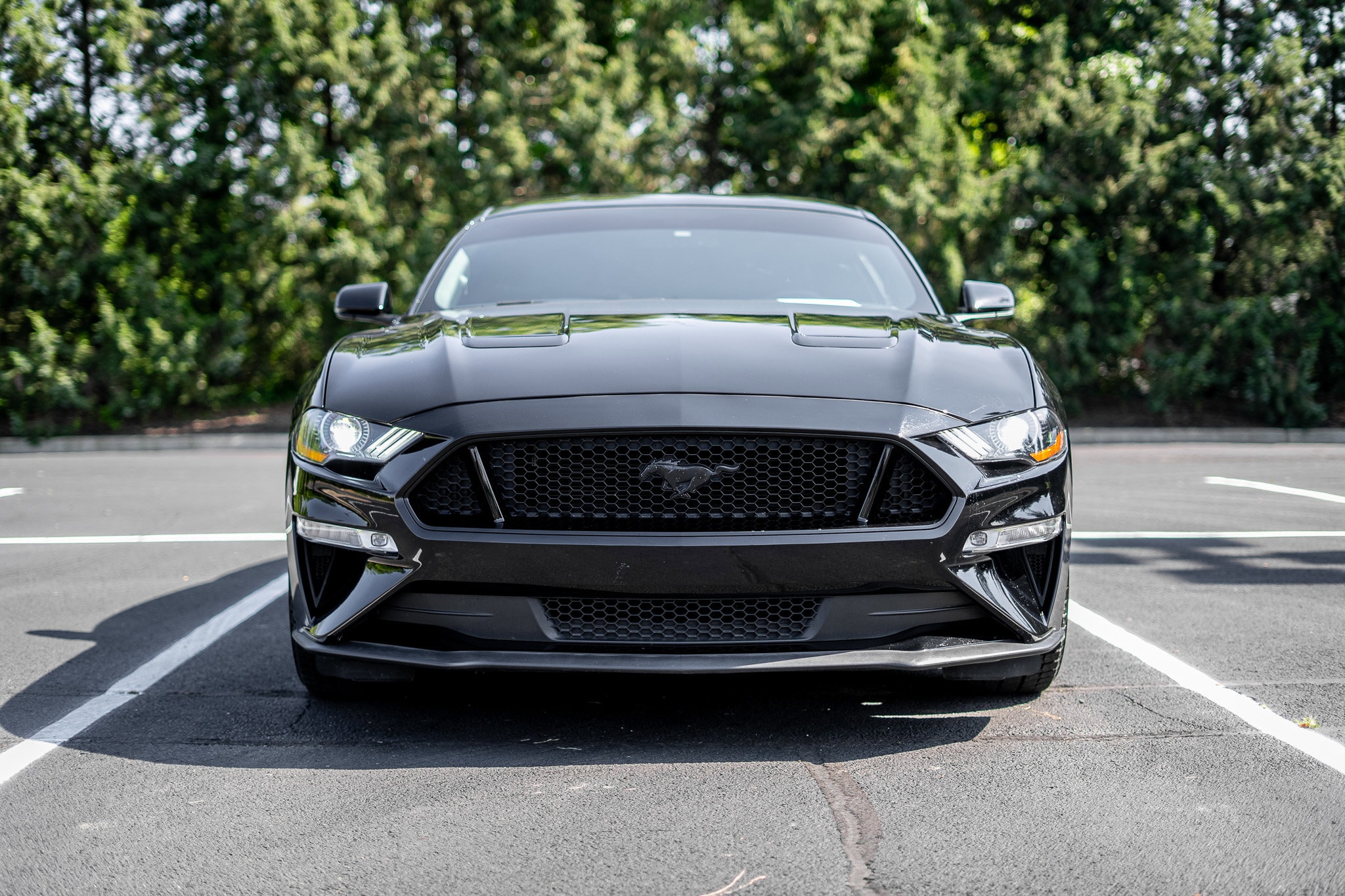 Used 2019 Ford Mustang GT Premium with VIN 1FA6P8CF5K5174663 for sale in Miamisburg, OH