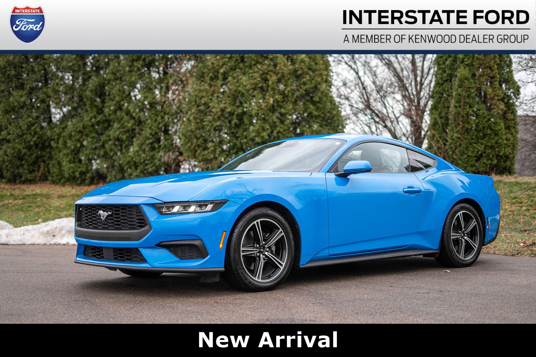 2024 Ford Mustang EcoBoost's photo