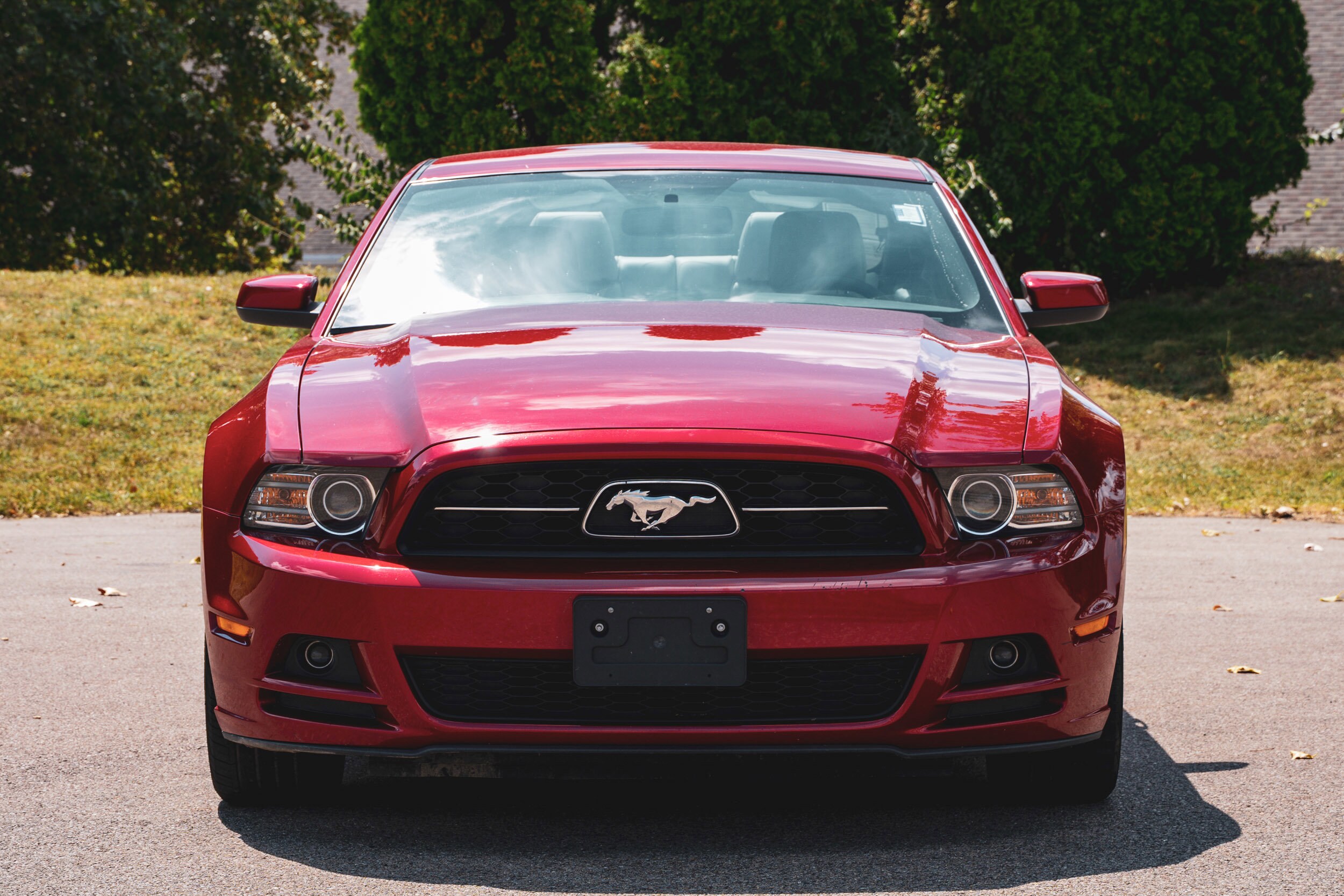 2013 Ford Mustang V6 Premium photo 2