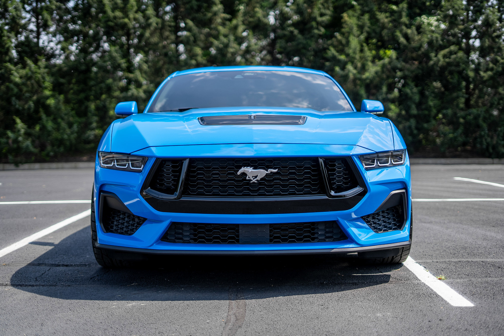Used 2024 Ford Mustang GT with VIN 1FA6P8CF5R5407645 for sale in Miamisburg, OH