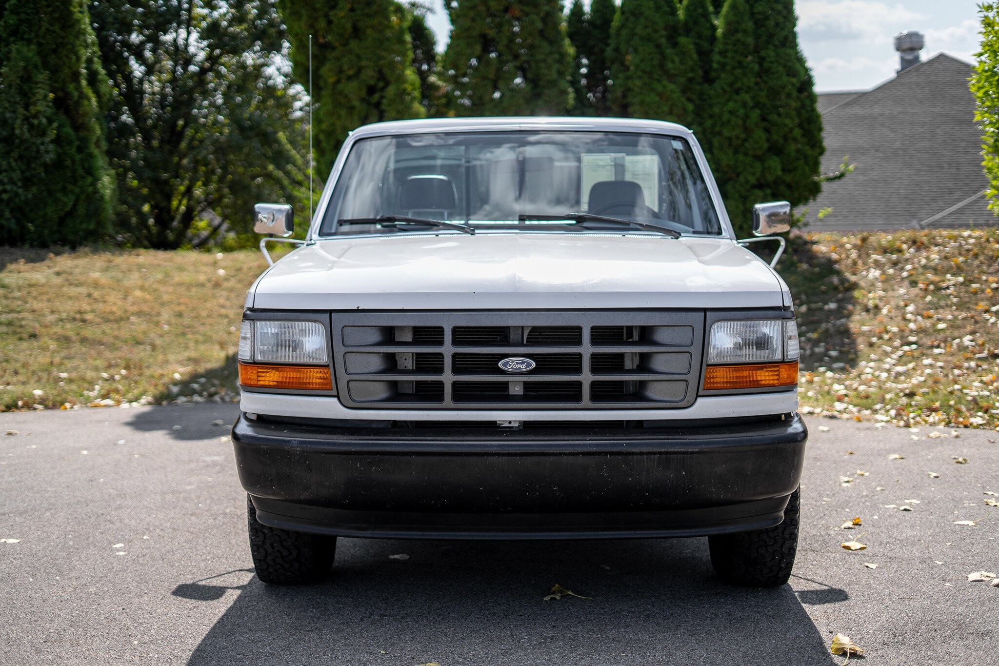 1995 Ford F-150 XL photo 2