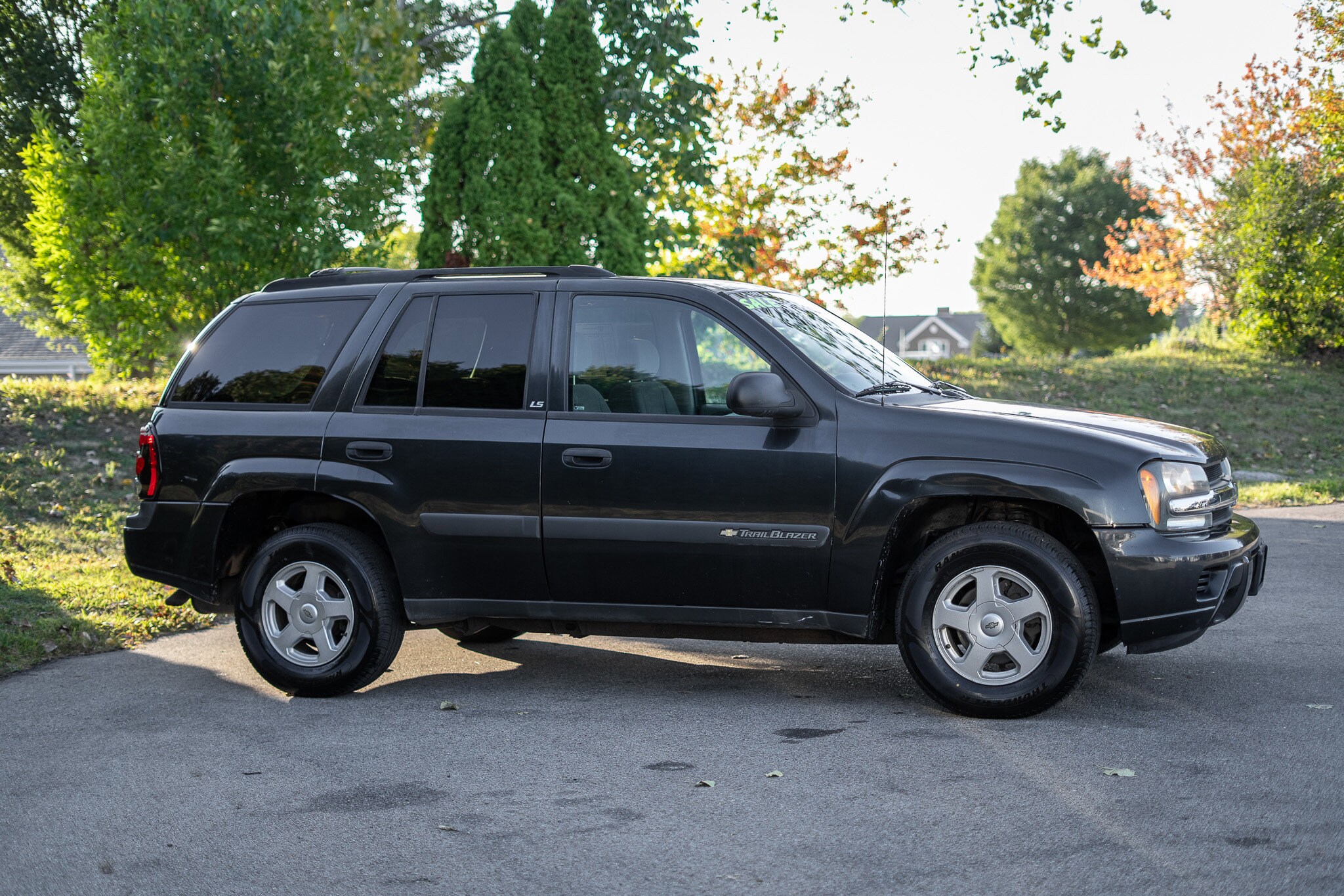 2003 Chevrolet Trailblazer LS photo 2