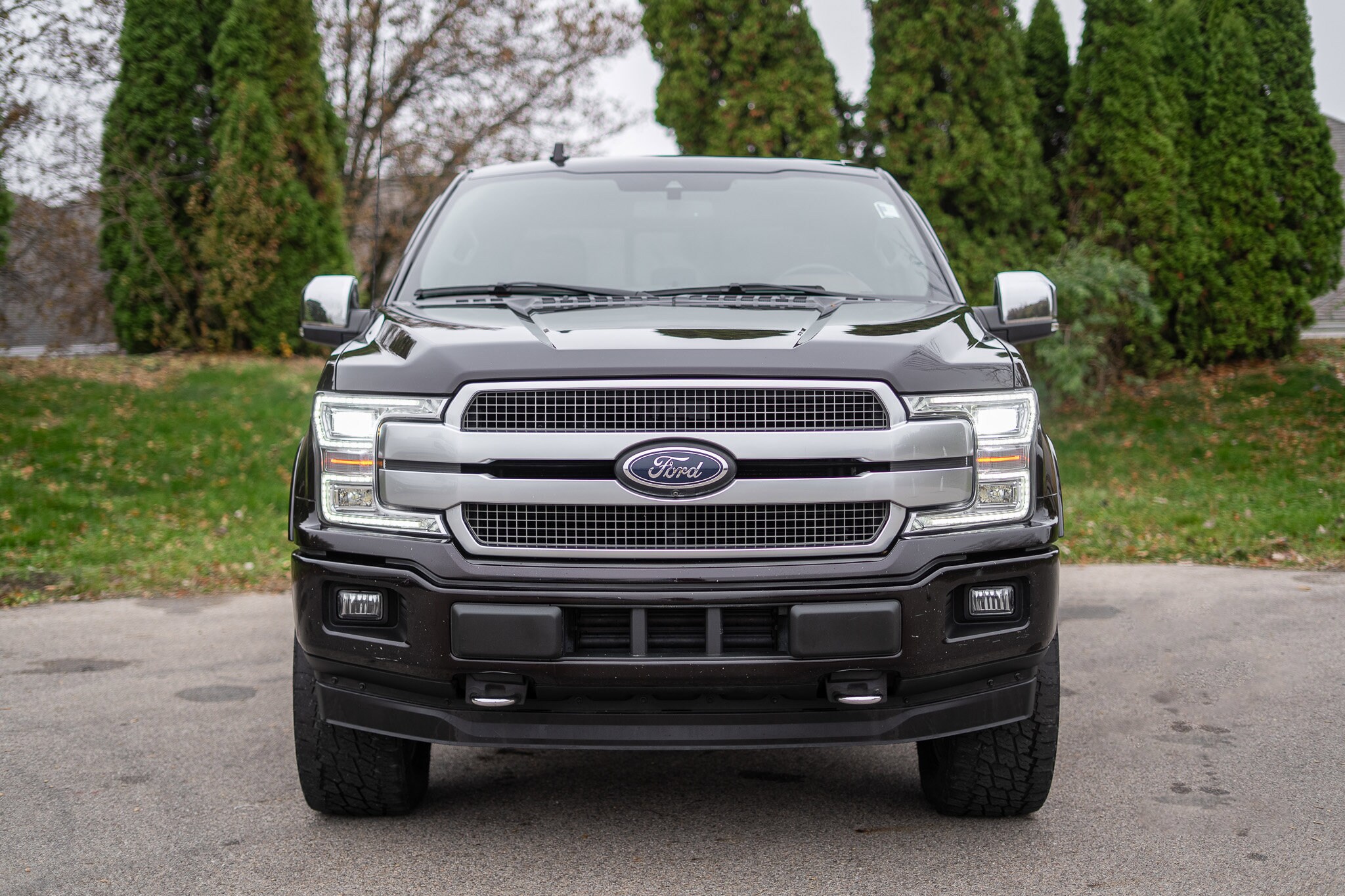 2018 Ford F-150 Platinum photo 2